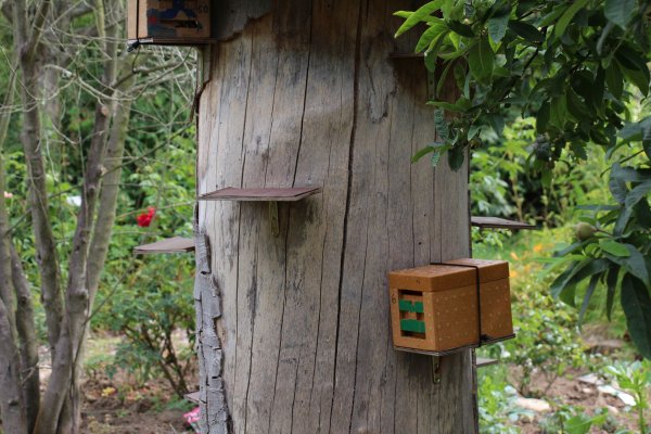 Excursion Imkerei Selzer, 