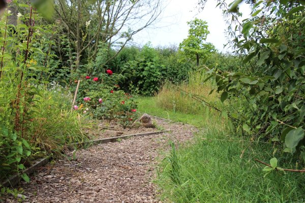 Excursion Imkerei Selzer, 