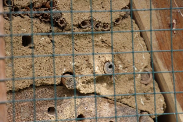 Excursion Imkerei Selzer, 