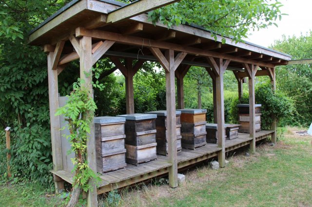 Excursion Imkerei Selzer, 