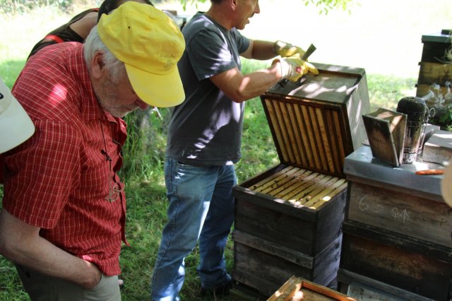 Excursion Imkerei Selzer, 