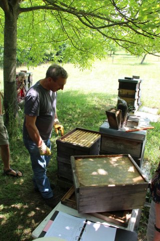 Excursion Imkerei Selzer, 