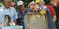 Exkursion Imkerei Selzer, 11.07.2015