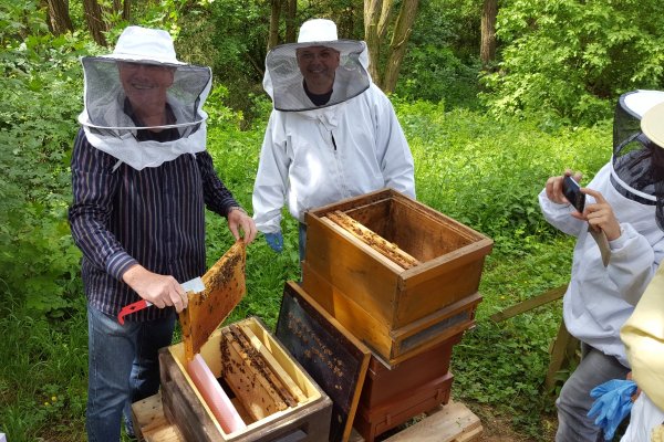 Neu-Imker Praktikum
