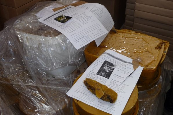 Exkursion Imkertechnik Wagner