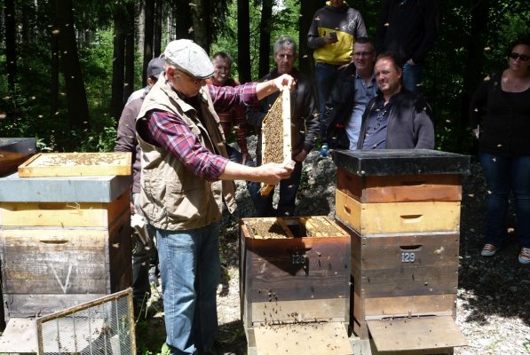 Exkursion Imkertechnik Wagner