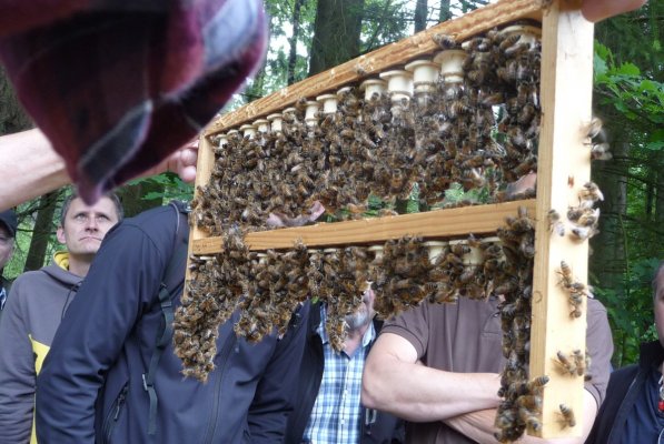 Exkursion Imkertechnik Wagner