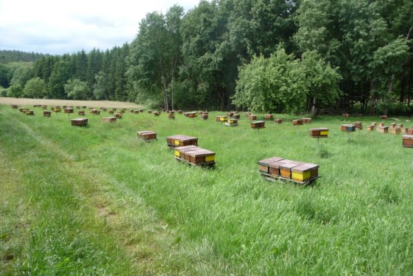 Exkursion Imkertechnik Wagner