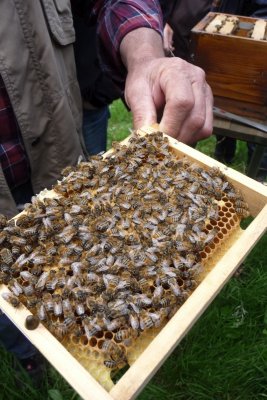 Exkursion Imkertechnik Wagner