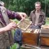 Exkursion Imkertechnik Wagner