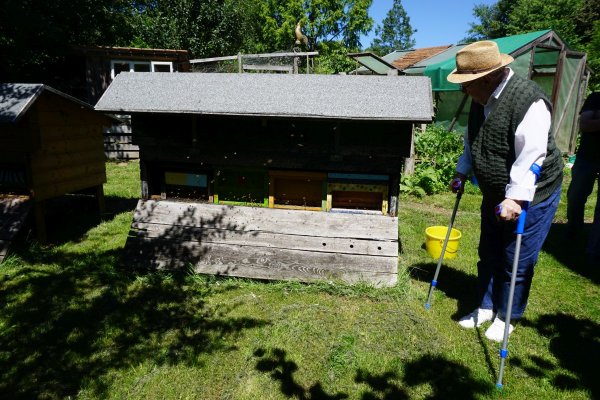 Vereinsausflug - Scheffehof