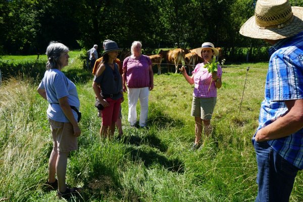 Vereinsausflug - Scheffehof