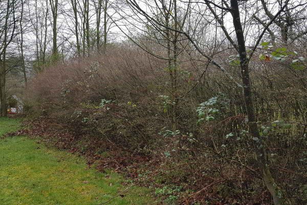 Frühjahrsputz - Vorher