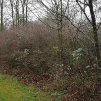 Frühjahrsputz - Vorher